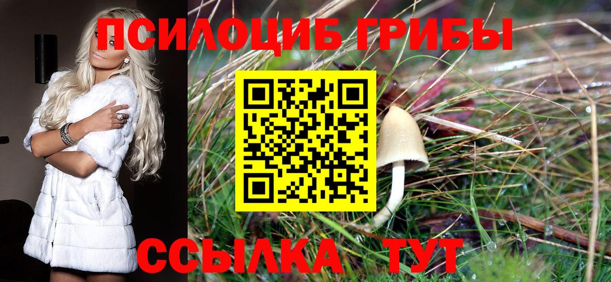 Псилоцибиновые грибы MAGIC MUSHROOMS  Вход с VPN  Коломна 
